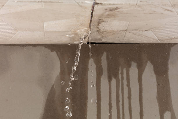 Professional Water Damage Repair technician working in Manhattan, IL